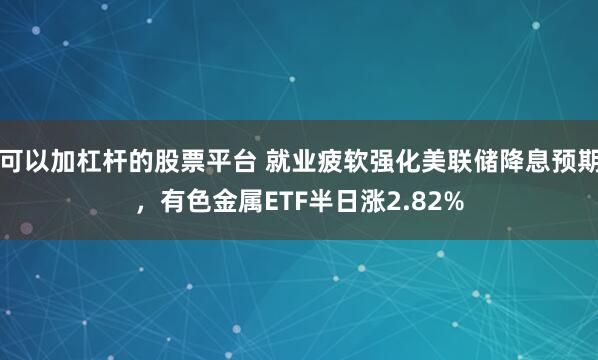 可以加杠杆的股票平台 就业疲软强化美联储降息预期，有色金属ETF半日涨2.82%