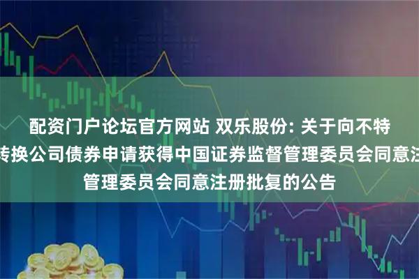 配资门户论坛官方网站 双乐股份: 关于向不特定对象发行可转换公司债券申请获得中国证券监督管理委员会同意注册批复的公告