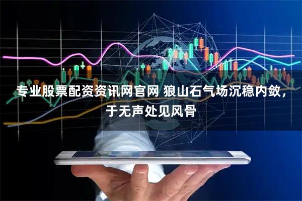 专业股票配资资讯网官网 狼山石气场沉稳内敛，于无声处见风骨