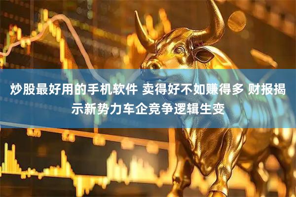 炒股最好用的手机软件 卖得好不如赚得多 财报揭示新势力车企竞争逻辑生变